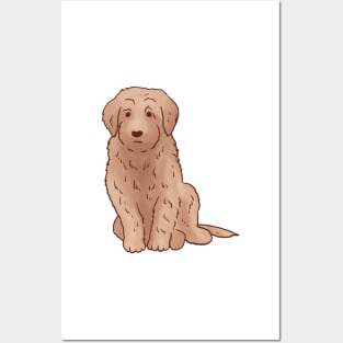 Golden Doodle art Posters and Art